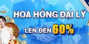 Đại lý Ku6955 là gì?